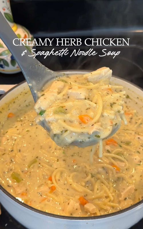 Creamy Herb Chicken & Spaghetti Noodle Soup
