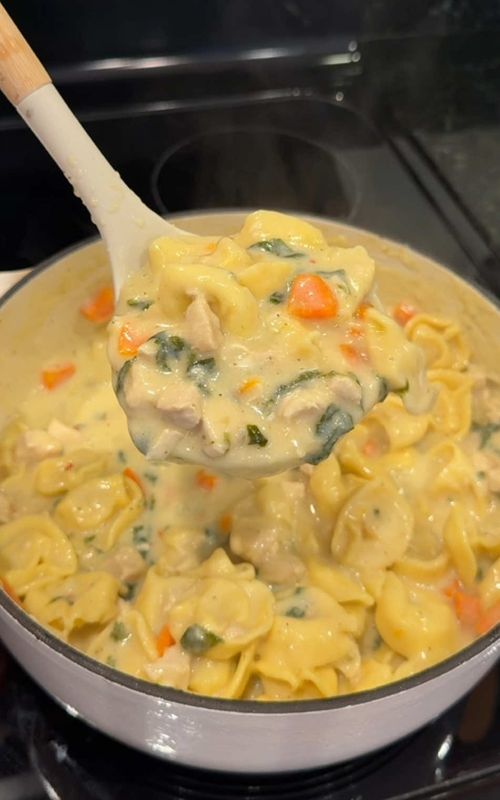 Chicken Alfredo Tortellini Soup